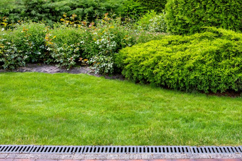 Landscaping Drainage Installation in Tuscaloosa, AL
