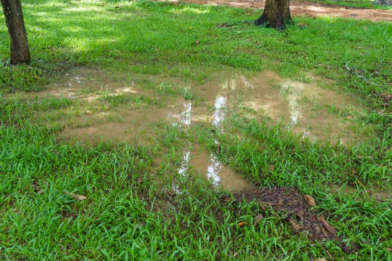 Rainwater Diversion in Tuscaloosa, AL