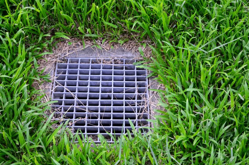 Yard Drain Installation in Tuscaloosa, AL